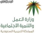 وزارة الموارد البشرية تعلن 700 وظيفة للرجال والنساء عبر بوابة العمل عن بعد